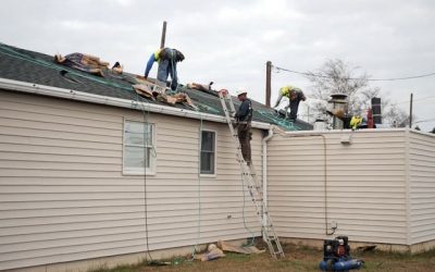 Shed Roofing